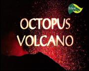 Octopus Volcano
